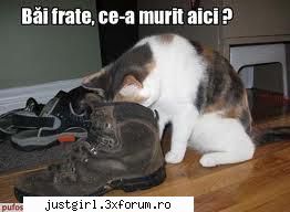 poze amuzante