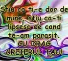 poze amuzante alta: