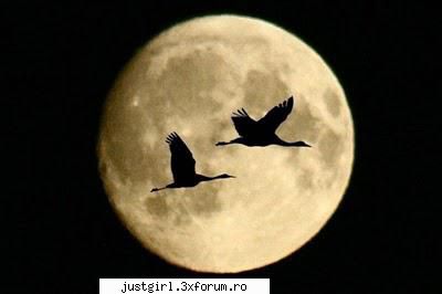 Poze cu luna - Pleaca pe luna! - Poze
